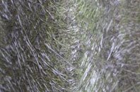 Presthope fibreglass roof work